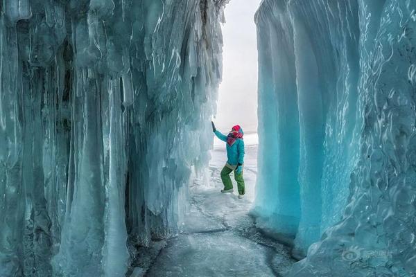 為什么以為尼克斯會成為本賽季冠軍黑馬？