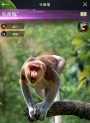 三節(jié)結(jié)束灰熊籃板數(shù)50