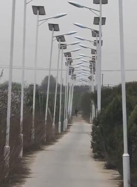 《乖離性百萬亞瑟王：環(huán)》“打牌測驗”今天敞開！