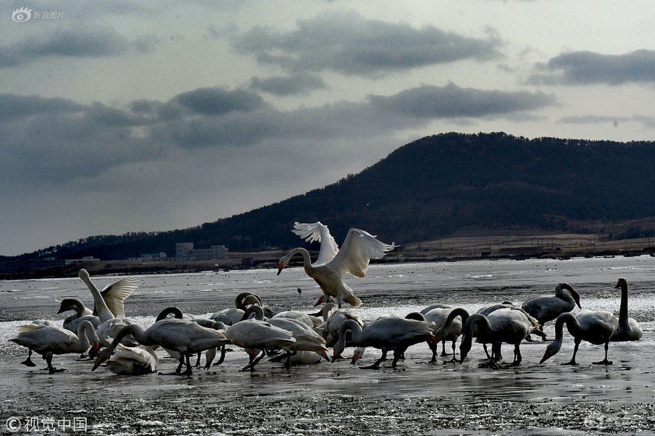 追夢：小賈巴里