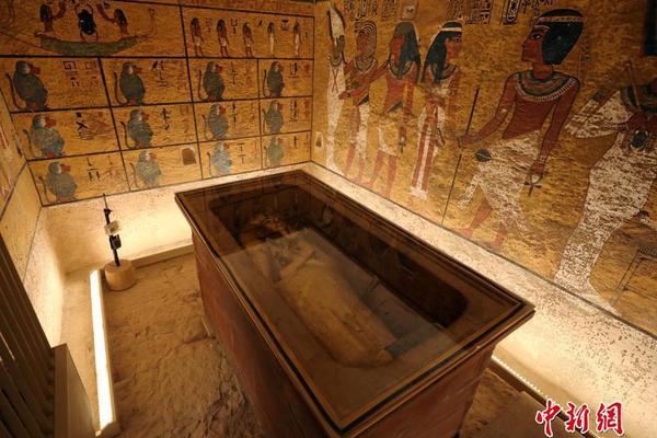 自由度高的種田游戲引薦 自己搜集種子