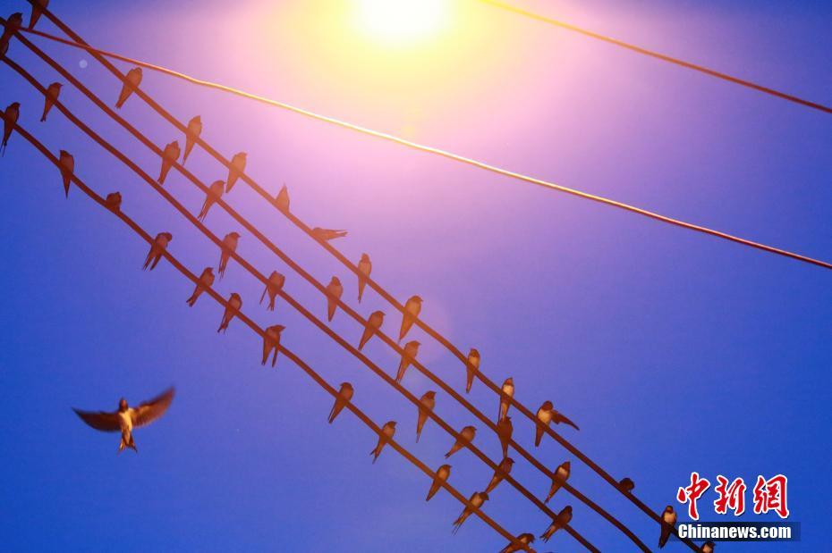 東京奧運會乒乓球混雙決賽：中國隊奪金