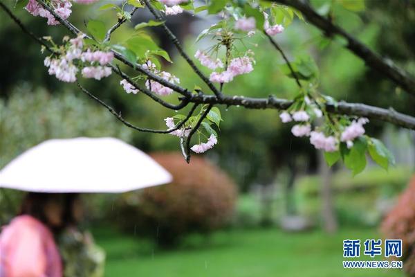 “村莊復興農(nóng)人百事通系列”9種圖書在穗首發(fā)——我國新聞網(wǎng)·廣東