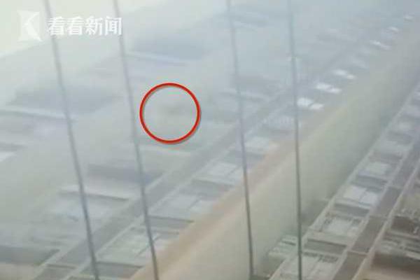 “納”樣動聽《太極熊貓2》好聲音決賽專題