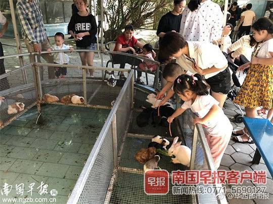 郵報：若莫耶斯終究離任 貝尼特斯或許會掌管西漢姆聯(lián)