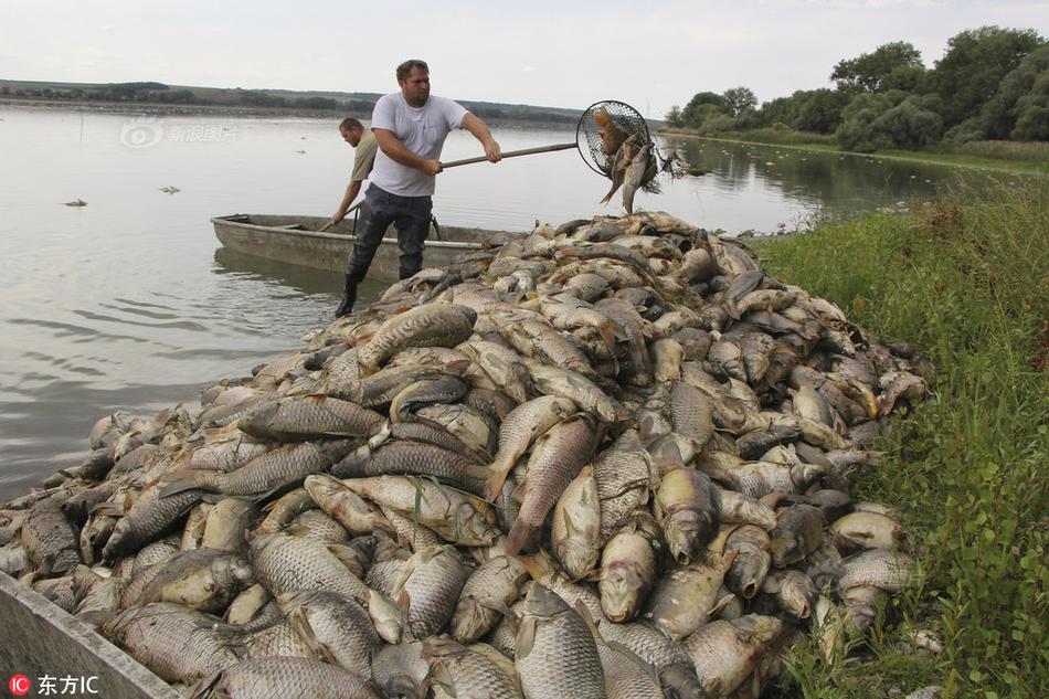 IBM回絕參加Java東西聯(lián)盟 與Sun協(xié)作漸疏遠