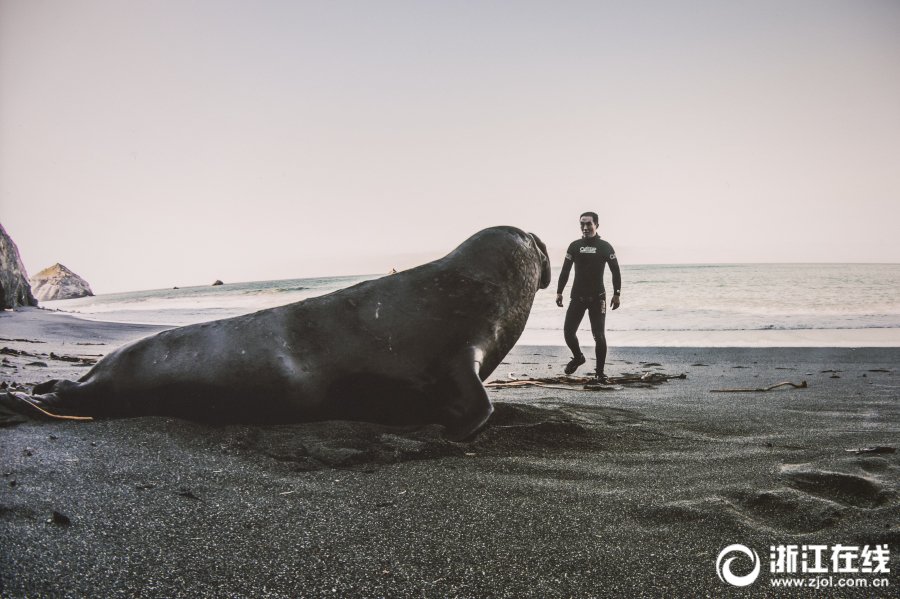 青島雙星籃貼吧(清澤 青島雙星籃)