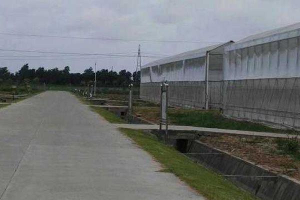 巴圖姆：伊巴卡的傷勢康復(fù)得很好了