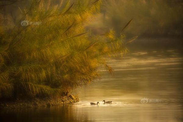 沃格爾：威少和比爾打出了高水平表現(xiàn)