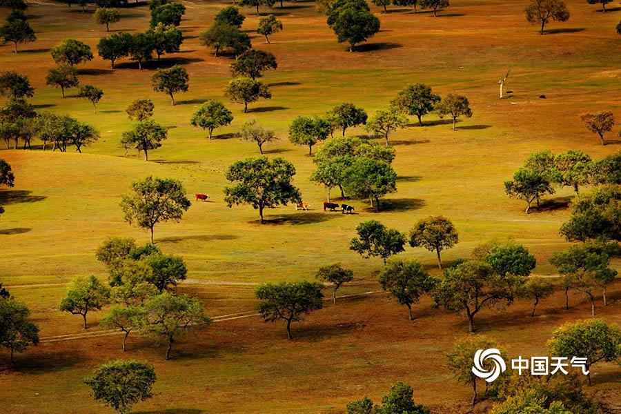 QQ郵箱被發(fā)郵件被退怎么辦