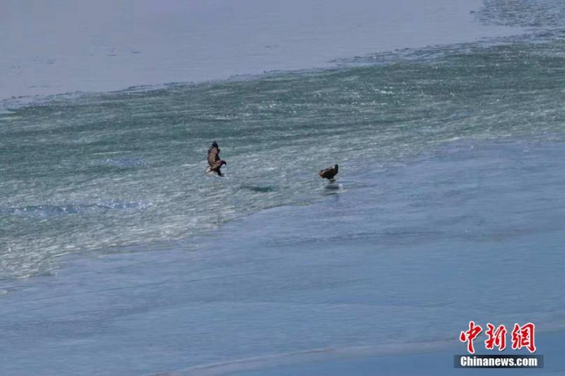 特殊自啟動病毒攻防戰(zhàn)