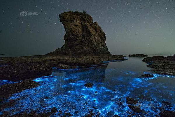 又打鐵了！塔圖姆對陣黃蜂16中6