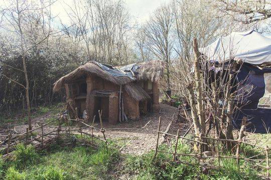 抓住小獸娘 《超級地城之光》最妖萌戰(zhàn)魂將登場