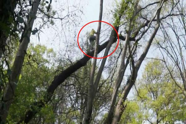 媒體人評U17男籃：立陶宛看出你就會守23聯(lián)防 下半場得變化