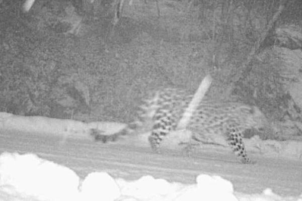 ??錯過喬治&克萊離隊&裁掉保羅！評價一波勇士目前“神操作”