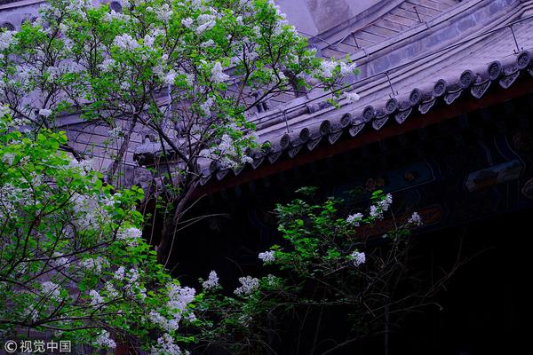 百度萬象大會是什么 百度萬象大會2021活動介紹