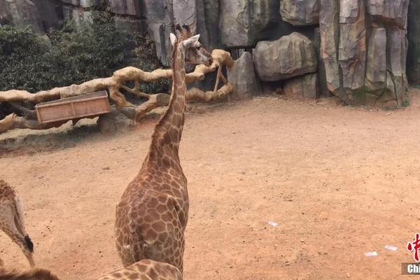 怎么開機主動發(fā)動小鍵盤