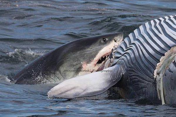 告知你升級(jí)到Windows7前有必要知道的幾件事