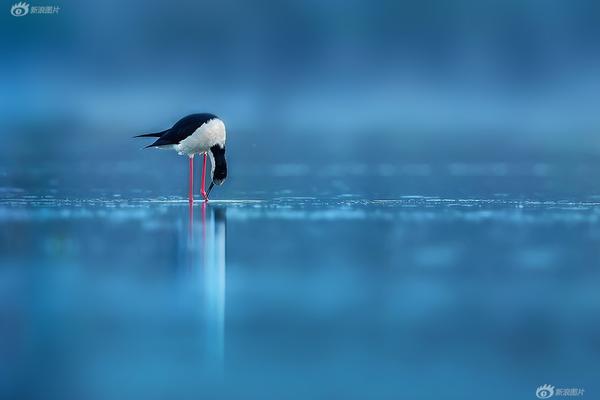 最新火爆掛機傳奇手游引薦 熾熱傳奇游戲