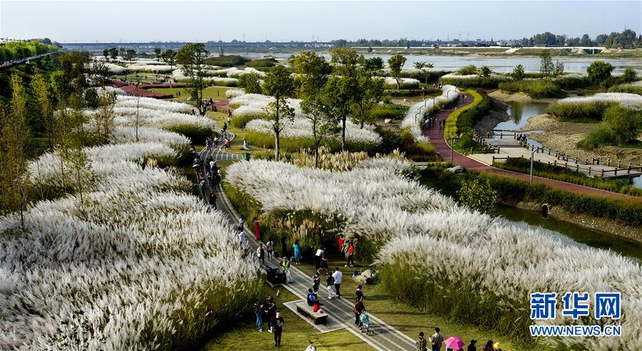 HTTC發(fā)布超傳輸2.0 最高速度達每秒22.4GB