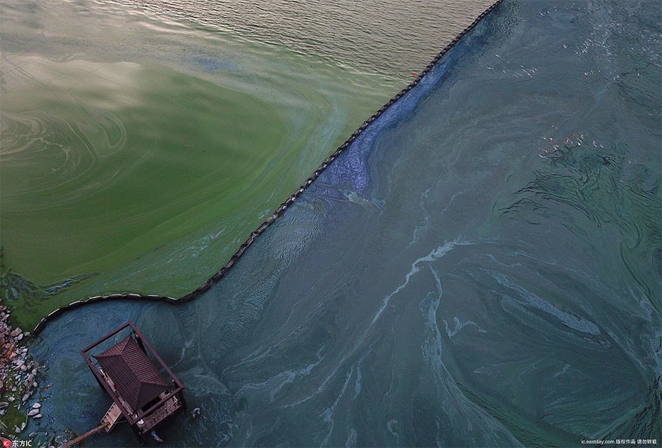 下載網(wǎng)頁視頻的辦法：網(wǎng)站視頻下載辦法技能共享