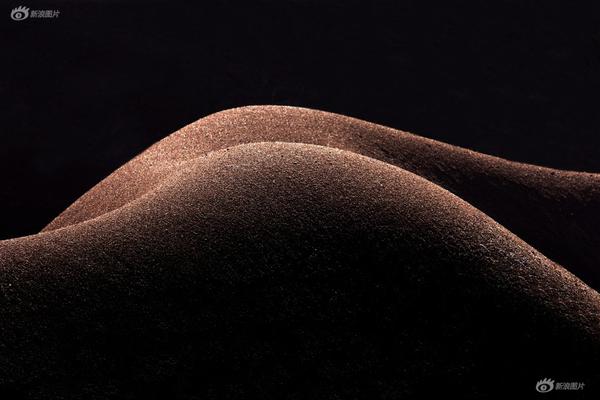 今年前四個月物流需求持續(xù)擴大 多領(lǐng)域增速加快