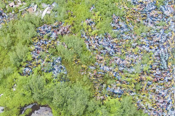 八村塁：我需要給哈里斯上對立