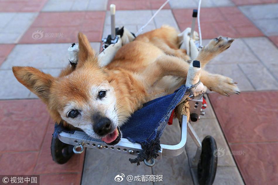 師兄師弟來助陣《大俠傳》三大門派玩法曝光