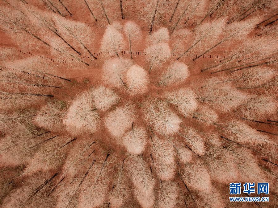 諜影重重《戰(zhàn)場雙馬尾》諜報版本今日上線！