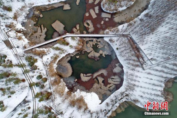 斯卡洛尼有或許續(xù)約阿根廷隊 有80%幾率與阿根廷足協(xié)敲定續(xù)約協(xié)議