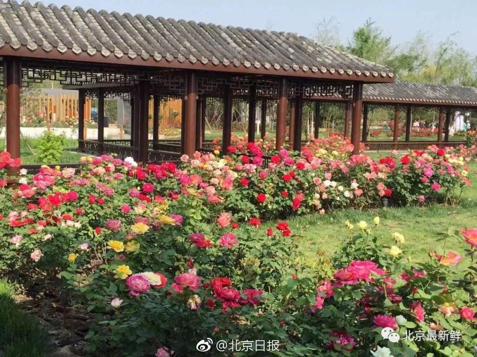 伍德：我們的水平絕非我們戰(zhàn)績展示的那樣，需要每個人都在下半程發(fā)力