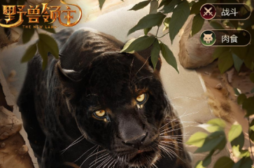 BootStar輕松裝置多體系