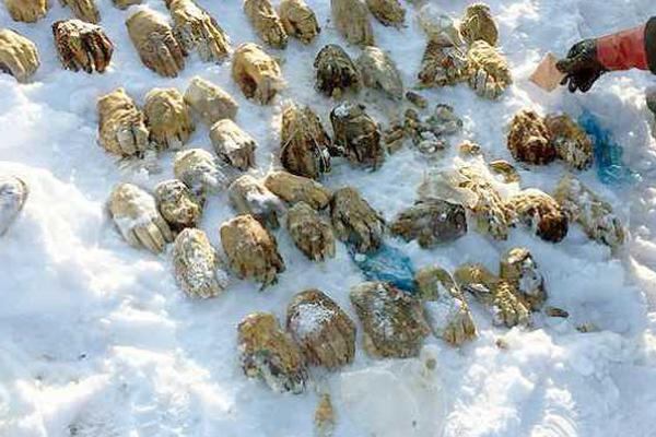 幫你穿上意氣風(fēng)發(fā)戎衣  穿上戎衣H5進(jìn)口