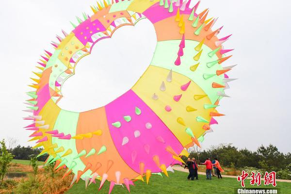 花花果實者 《夢幻啟航》羅賓的秘密[圖]