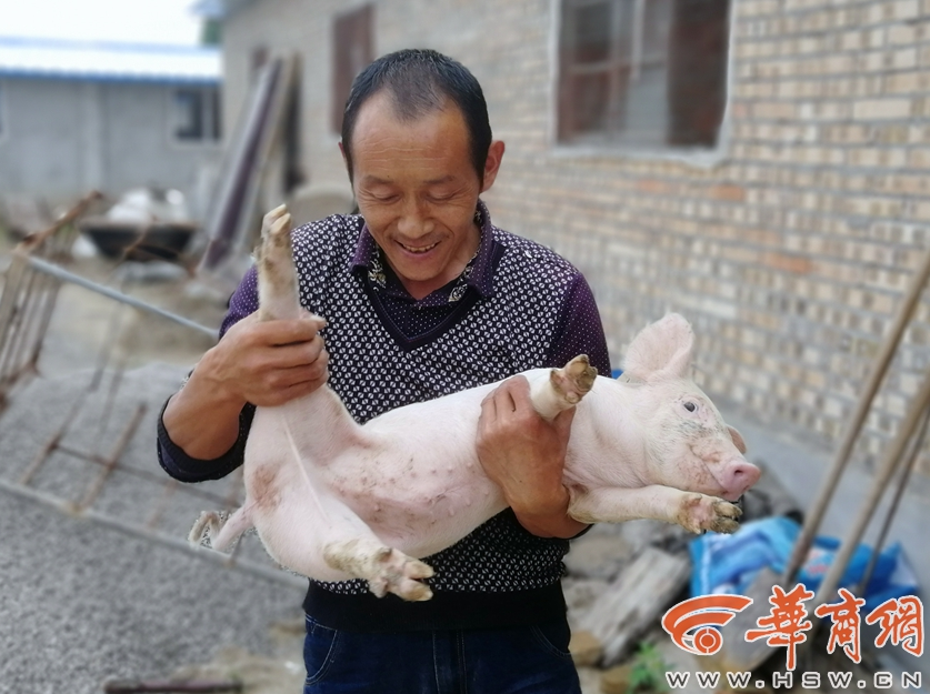 熱血爭雄硝煙四起 《朕的江山》新版來襲