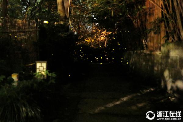 《誅仙手游》云夢庭今日公測 鄭爽邀你宅一起