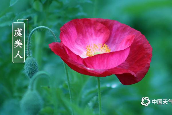 Dropbox文件同步無憂