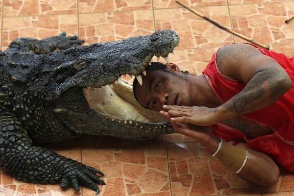 觀星游、黃河游、宿集游……旅行新業(yè)態(tài)助力中衛(wèi)文旅工業(yè)高質(zhì)量開展