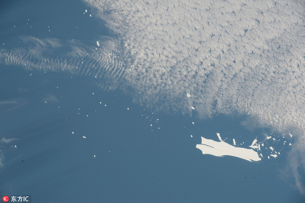 IT業(yè)重要的工業(yè)和技術標準開展前史