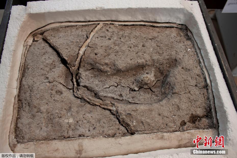 和前次進季后賽的國王交手過的現(xiàn)役球員：老詹、保羅、一哥、哈隊