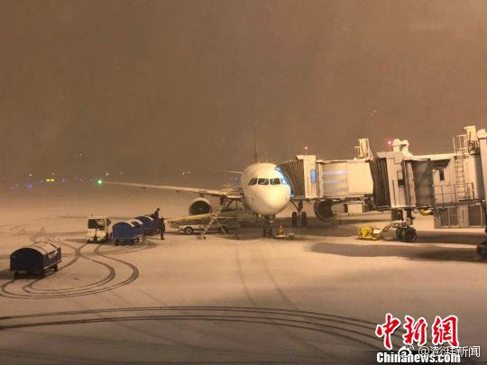 六月六折半 《格斗刀魂》商品特惠[圖]