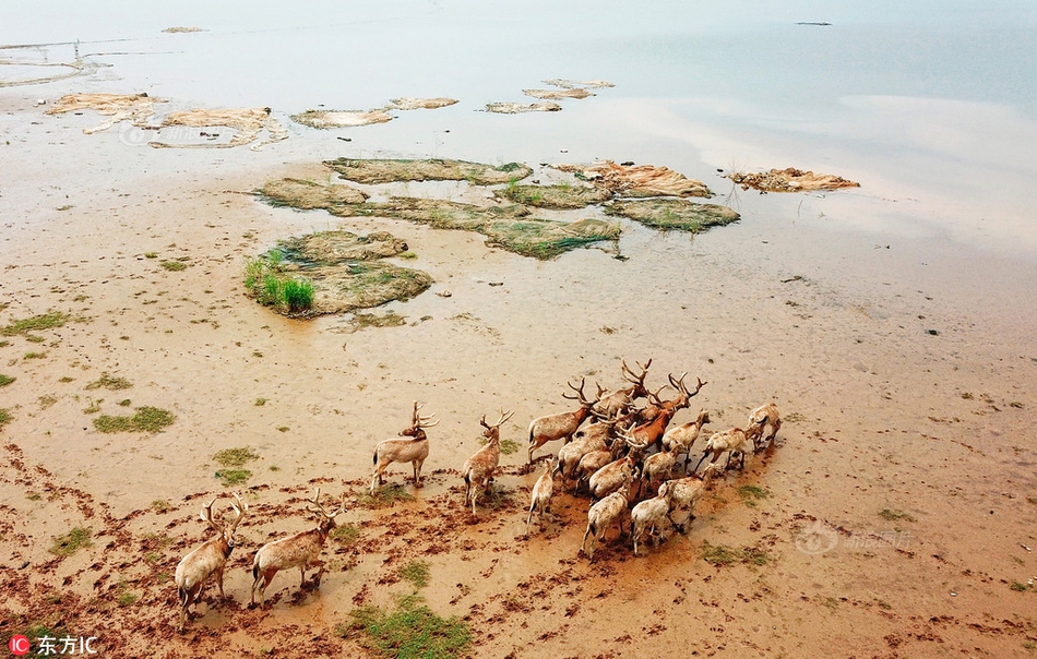 熱火鎖定東部前六席位 無需打附加賽