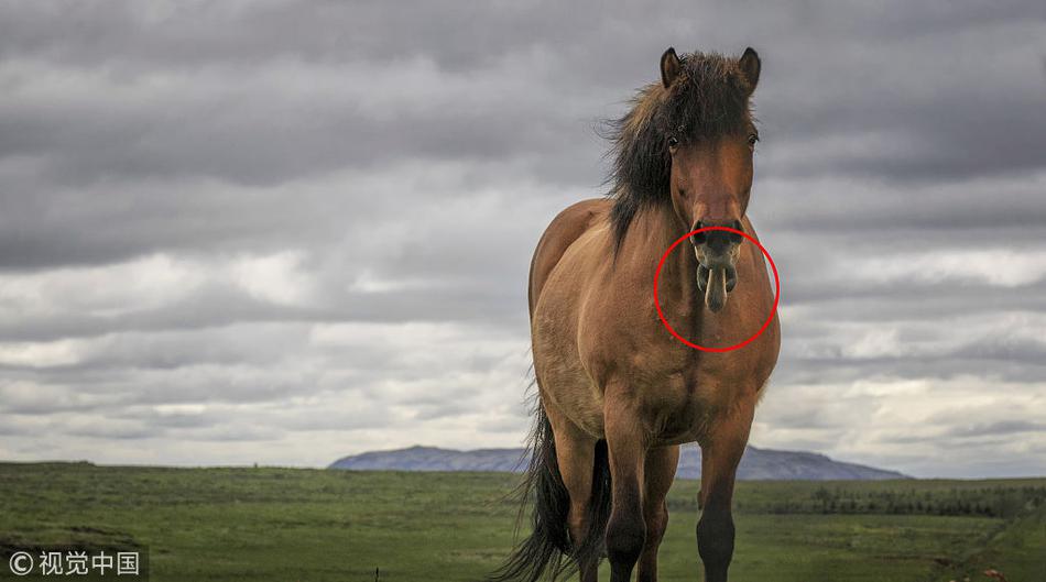 手機街機格斗游戲引薦 有蓄力條的格斗游戲