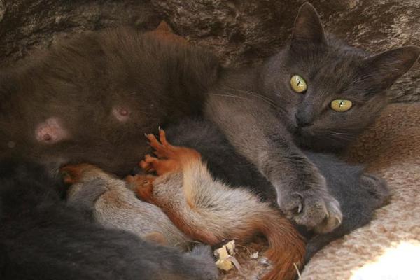 世預(yù)賽12強賽出線規(guī)則：全面解讀