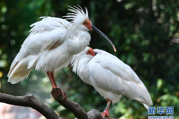 硬盤毛病的剖析與修理