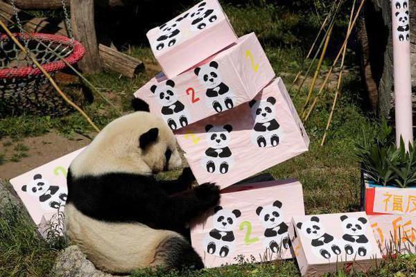 中國萬網(wǎng)全面推廣CDN網(wǎng)站加快技能