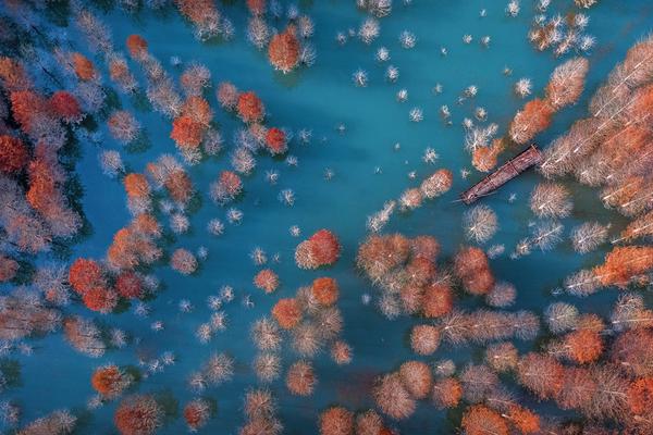 記者：獨行俠正在評估鉑金的交易價值