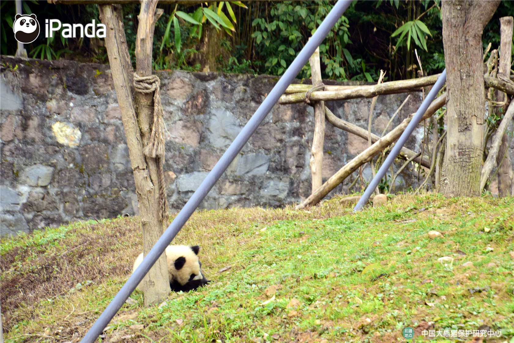 如何用uTorrent接手Bitcomet的下載使命