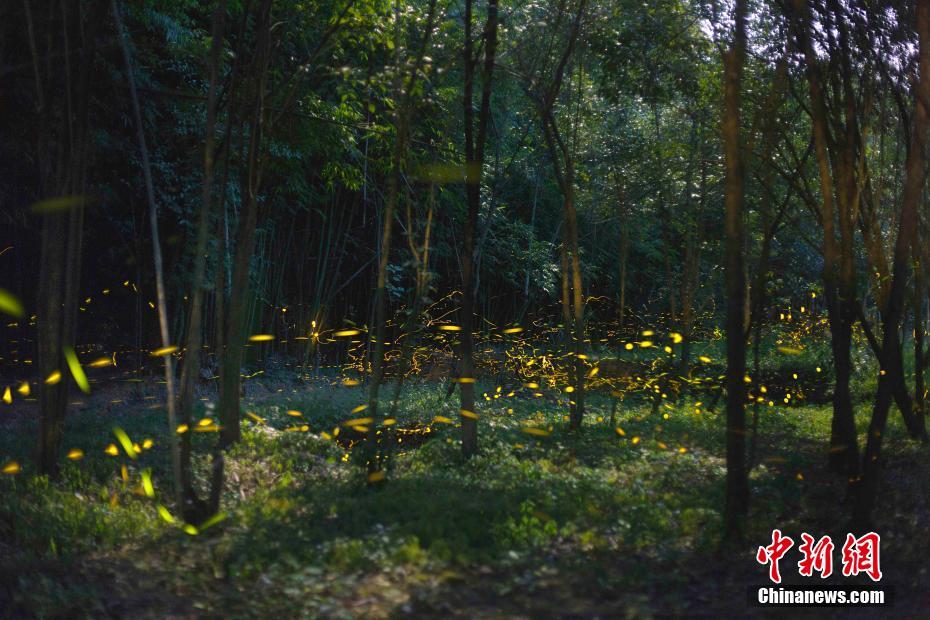 用天賜材料的重要性及應用范圍