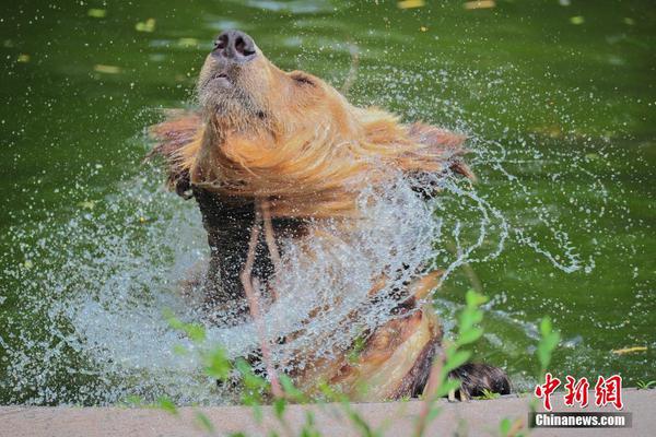 全新概念日式畫風RPG《垂釣冒險島》3月25日敞開內(nèi)測[多圖]